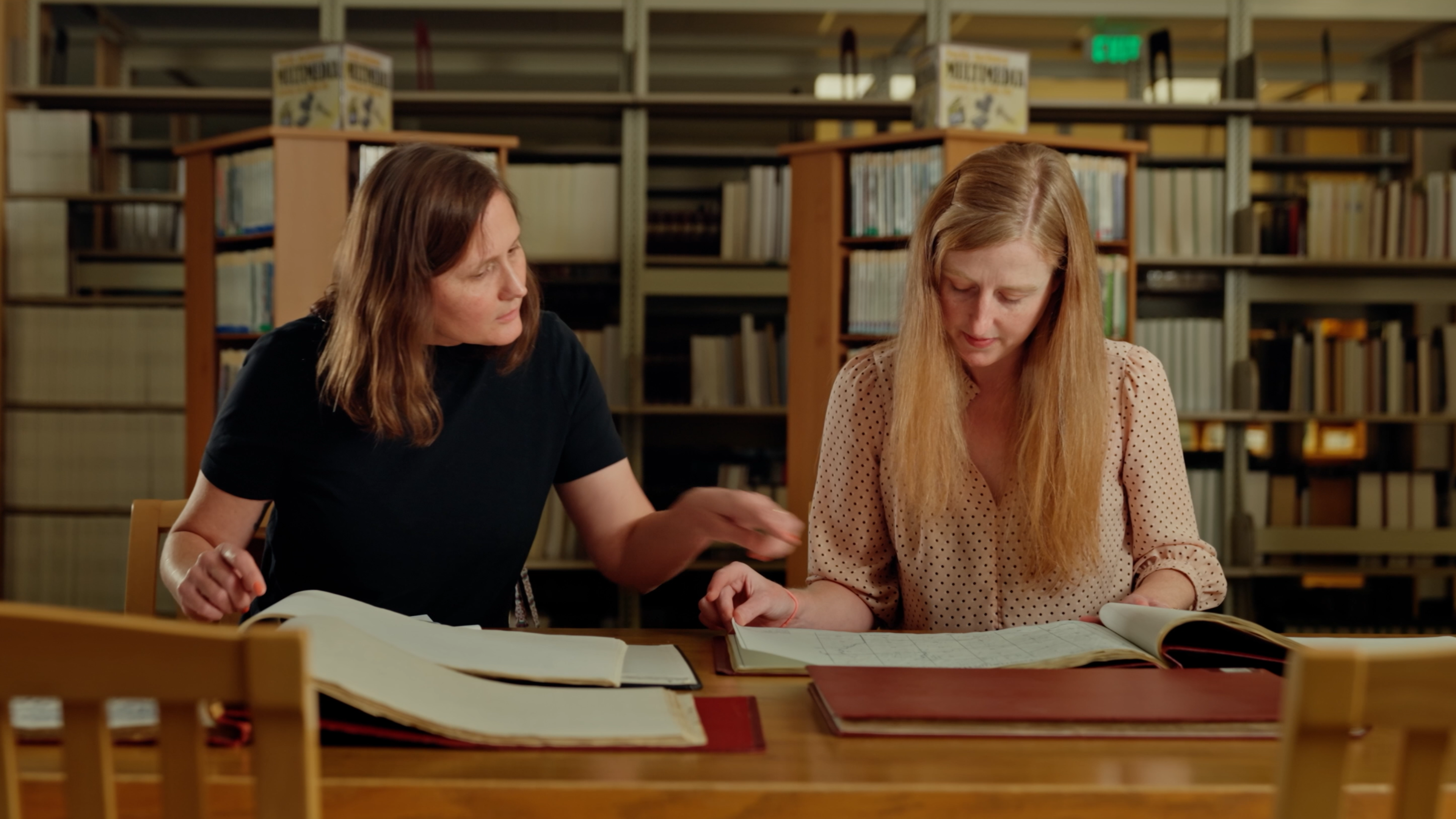 Librarian helps patron look at documents